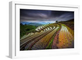 Unseen Rice Filed-Tetra-Framed Photographic Print