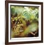 Unseen-Michelle Wermuth-Framed Giclee Print