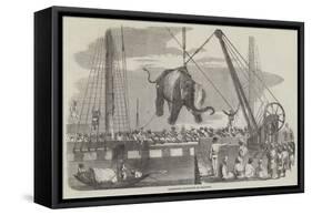 Unshipping Elephants at Calcutta-null-Framed Stretched Canvas