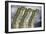 Unstable Economy, Conceptual Image-Victor De Schwanberg-Framed Photographic Print