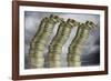 Unstable Economy, Conceptual Image-Victor De Schwanberg-Framed Photographic Print