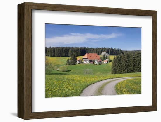 Unterfallengrundhof in the spring, Gütenbach, Black Forest, Baden-Wurttemberg, Germany-Markus Lange-Framed Photographic Print