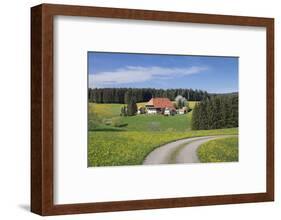 Unterfallengrundhof in the spring, Gütenbach, Black Forest, Baden-Wurttemberg, Germany-Markus Lange-Framed Photographic Print