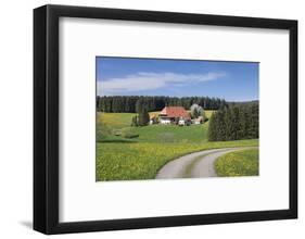 Unterfallengrundhof in the spring, Gütenbach, Black Forest, Baden-Wurttemberg, Germany-Markus Lange-Framed Photographic Print