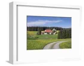 Unterfallengrundhof in the spring, Gütenbach, Black Forest, Baden-Wurttemberg, Germany-Markus Lange-Framed Photographic Print