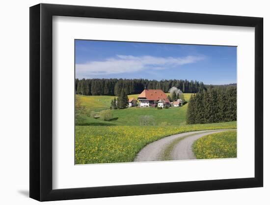 Unterfallengrundhof in the spring, Gütenbach, Black Forest, Baden-Wurttemberg, Germany-Markus Lange-Framed Photographic Print