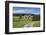 Unterfallengrundhof in the spring, Gütenbach, Black Forest, Baden-Wurttemberg, Germany-Markus Lange-Framed Photographic Print