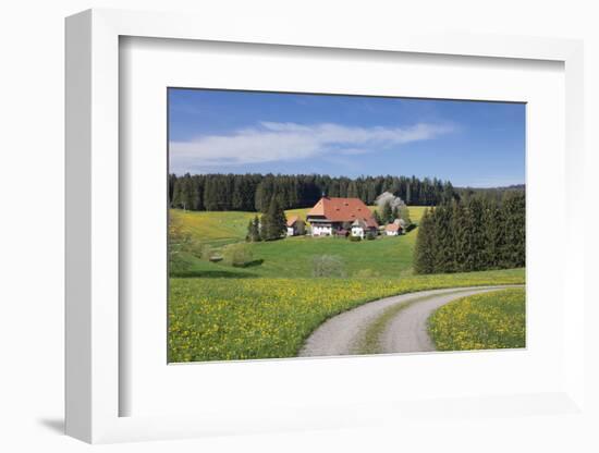 Unterfallengrundhof in the spring, Gütenbach, Black Forest, Baden-Wurttemberg, Germany-Markus Lange-Framed Photographic Print