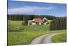 Unterfallengrundhof in the spring, Gütenbach, Black Forest, Baden-Wurttemberg, Germany-Markus Lange-Stretched Canvas