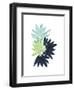 Untethered Palm II-Grace Popp-Framed Art Print