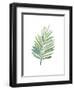 Untethered Palm V-Grace Popp-Framed Art Print