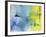 Untitled 186-Michelle Oppenheimer-Framed Giclee Print