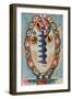 Untitled, 1960-Eileen Agar-Framed Giclee Print