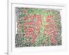 Untitled, 1981-Keith Haring-Framed Giclee Print