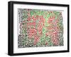 Untitled, 1981-Keith Haring-Framed Giclee Print