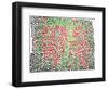 Untitled, 1981-Keith Haring-Framed Giclee Print