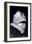 Untitled, 1990-2000-Didier Gaillard-Framed Photographic Print