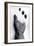 Untitled, 1990-2000-Didier Gaillard-Framed Photographic Print