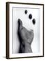 Untitled, 1990-2000-Didier Gaillard-Framed Photographic Print