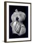 Untitled, 1990-2000-Didier Gaillard-Framed Photographic Print