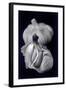 Untitled, 1990-2000-Didier Gaillard-Framed Photographic Print