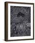 Untitled, 1990-2000-Didier Gaillard-Framed Photographic Print