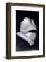 Untitled, 1990-2000-Didier Gaillard-Framed Photographic Print