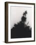 Untitled, 2000-10-Didier Gaillard-Framed Photographic Print