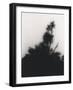 Untitled, 2000-10-Didier Gaillard-Framed Photographic Print