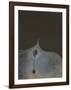 untitled 22-Arun Bose-Framed Collectable Print