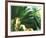 Untitled 2-John Gynell-Framed Giclee Print