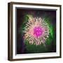 Untitled 33-Tina Lavoie-Framed Giclee Print