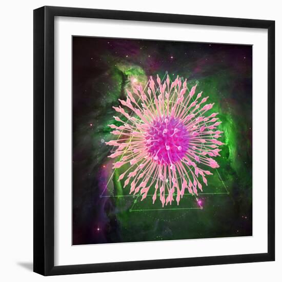 Untitled 33-Tina Lavoie-Framed Giclee Print