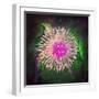 Untitled 33-Tina Lavoie-Framed Giclee Print