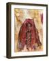 Untitled African Red Wrap-Marta Gottfried-Framed Premium Giclee Print