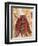 Untitled African Red Wrap-Marta Gottfried-Framed Giclee Print