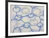 Untitled, c.2007-Sybille Hassinger-Framed Premium Giclee Print