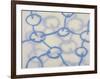 Untitled, c.2007-Sybille Hassinger-Framed Premium Giclee Print