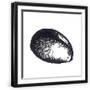 Black Frame