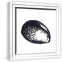 White Frame