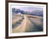Untitled (Farm Lane)-David Cain-Framed Collectable Print