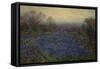 Untitled - Field of Bluebonnets (Oil on Canvas)-Julian Onderdonk-Framed Stretched Canvas