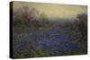 Untitled - Field of Bluebonnets (Oil on Canvas)-Julian Onderdonk-Stretched Canvas