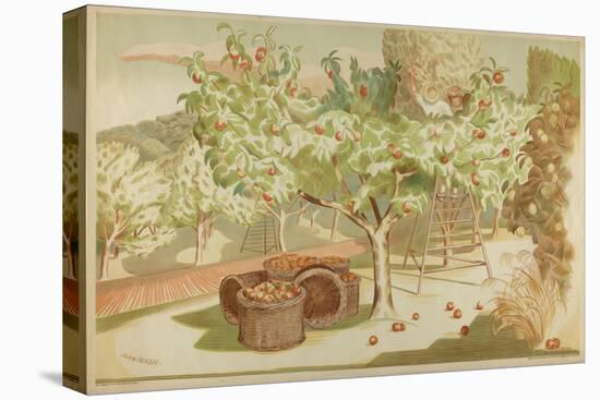 Untitled, from the Series 'Home Gardens for Home Markets', 1930-John Northcote Nash-Stretched Canvas