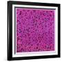 Untitled, June 1, 1984-Keith Haring-Framed Premium Giclee Print
