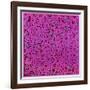 Untitled, June 1, 1984-Keith Haring-Framed Giclee Print