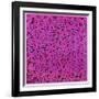 Untitled, June 1, 1984-Keith Haring-Framed Giclee Print