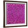 Untitled, June 1, 1984-Keith Haring-Framed Giclee Print