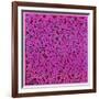 Untitled, June 1, 1984-Keith Haring-Framed Giclee Print