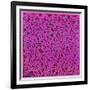 Untitled, June 1, 1984-Keith Haring-Framed Giclee Print